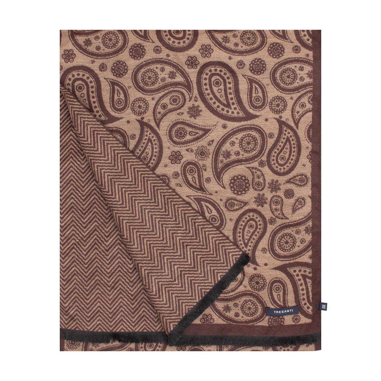 BETOLLE | Paisley double face viscose scarf Tresanti – TRESANTI